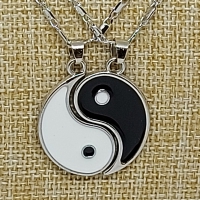 Zilverkleurige ketting 2 delig met Yin en Yang