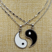 Zilverkleurige ketting 2 delig met Yin en Yang